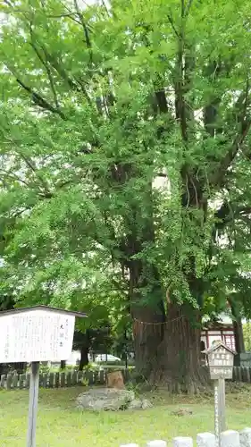 鑁阿寺のその他建物