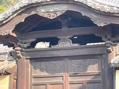 浄土寺(広島県)