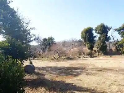 大雷淡洲神社の{uncategorized: "未分類", other: "その他", undefined: "問題あり", building: "その他建物", grave: "お墓", sacred_gate: "鳥居", guardian: "狛犬", statue: "像", buddha: "仏像", history: "歴史", nature: "自然", garden: "庭園", animal: "動物", pagoda: "塔", temizu: "手水舎", mountain_gate: "山門・神門", sanctuary: "本殿・本堂", subordinate: "末社・摂社", art: "芸術", scenery: "景色", jizo: "地蔵", ema: "絵馬", goshuin: "御朱印", omikuji: "おみくじ", items: "授与品その他", amulet: "お守り", goshuincho: "御朱印帳", eats: "食事", festival: "お祭り", votive_dance: "神楽", shichigosan: "七五三参", wedding: "結婚式", experience: "体験その他", initially: "初詣", around: "周辺", anti_infection: "感染症対策"}