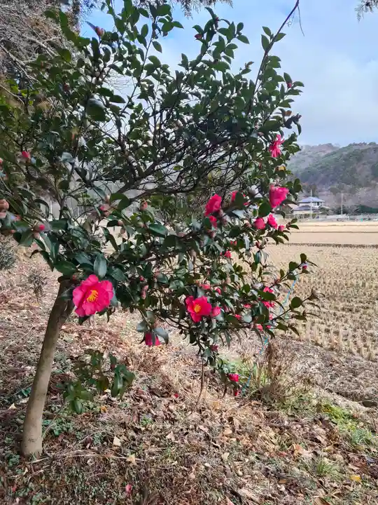 高司神社〜むすびの神の鎮まる社〜(福島県)