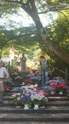 岡寺（龍蓋寺）(奈良県)