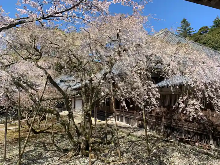 瀧谷寺(福井県)