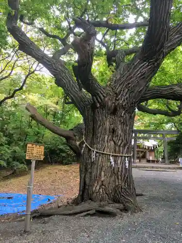 相馬神社の自然