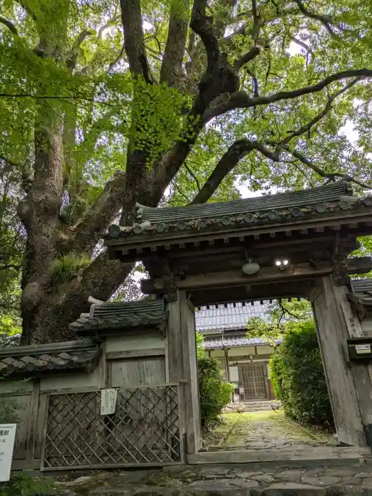 円興寺(岐阜県)