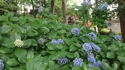 弥生神社の自然