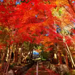 普門寺(切り絵御朱印発祥の寺)(愛知県)