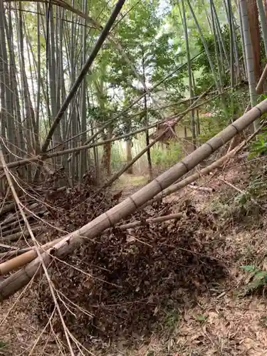 熊野神社の自然