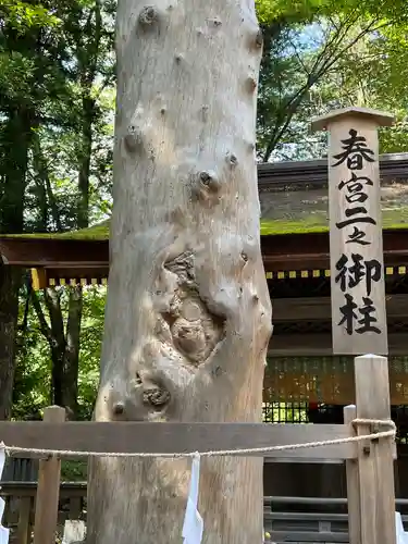 諏訪大社下社春宮(長野県)