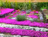 寿量山 速成寺の自然