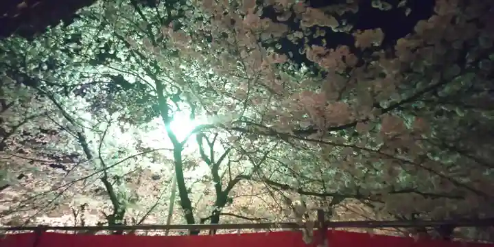 平野神社(京都府)