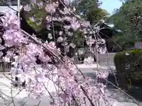 岡崎神社(京都府)