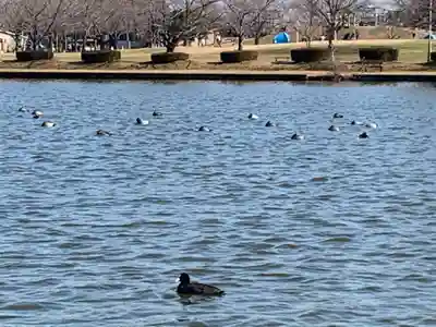 香取神社の周辺