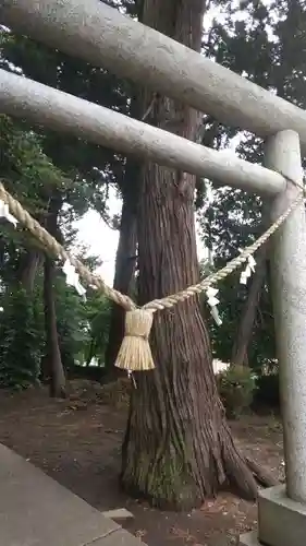 稲荷神社の鳥居