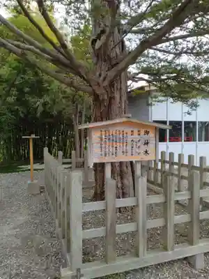 湯倉神社(北海道)