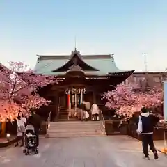 桜神宮の本殿