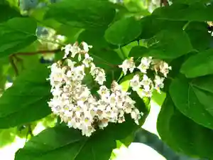 金蛇水神社(宮城県)(2024年02月23日(金) 08時35分06秒投稿)