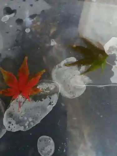 伏木香取神社の手水舎