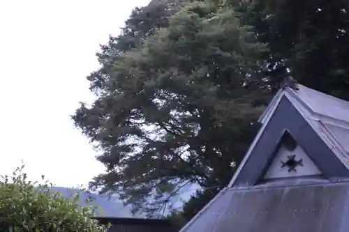 阿上三所神社(京都府)