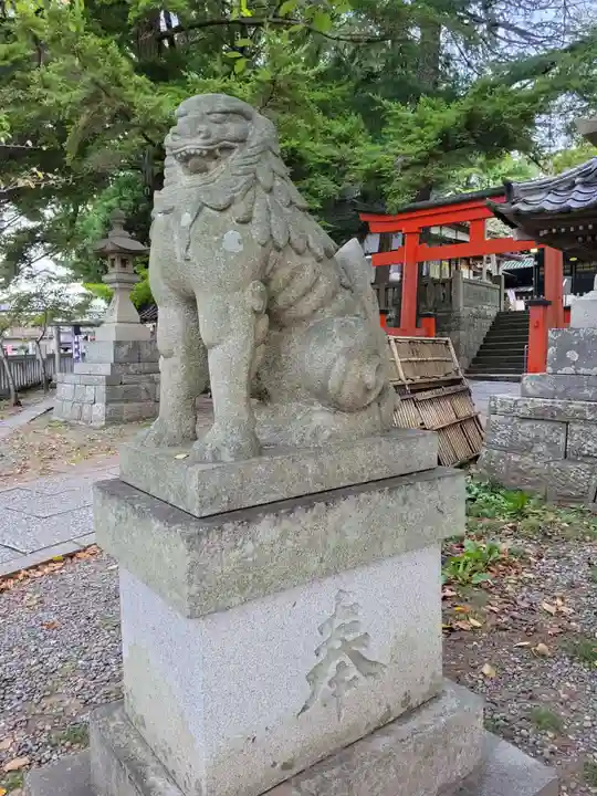 玉前神社の狛犬
