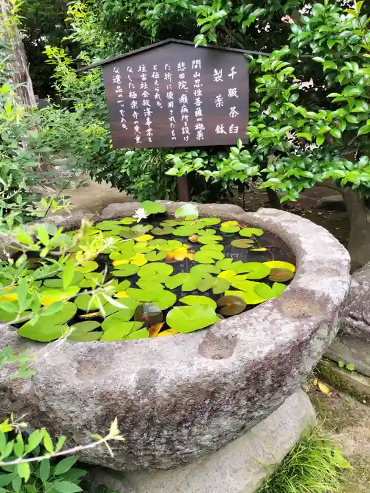 極楽寺(霊鷲山感應院極楽律寺)の手水舎