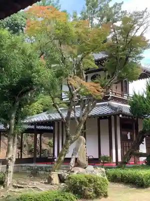 達磨堂 円福寺 の本殿・本堂