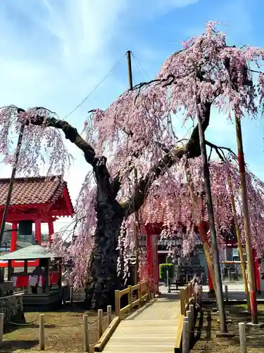 妙関寺(福島県)