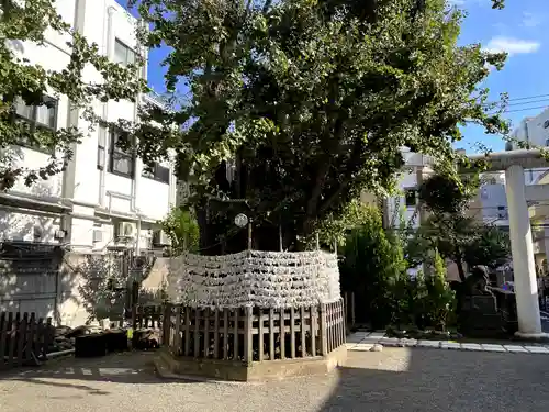 天祖神社(東京都)