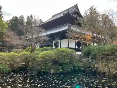 井山 宝福寺(岡山県)