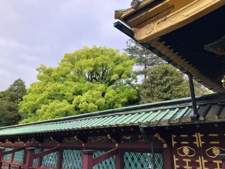 上野東照宮の{uncategorized: "未分類", other: "その他", undefined: "問題あり", building: "その他建物", grave: "お墓", sacred_gate: "鳥居", guardian: "狛犬", statue: "像", buddha: "仏像", history: "歴史", nature: "自然", garden: "庭園", animal: "動物", pagoda: "塔", temizu: "手水舎", mountain_gate: "山門・神門", sanctuary: "本殿・本堂", subordinate: "末社・摂社", art: "芸術", scenery: "景色", jizo: "地蔵", ema: "絵馬", goshuin: "御朱印", omikuji: "おみくじ", items: "授与品その他", amulet: "お守り", goshuincho: "御朱印帳", eats: "食事", festival: "お祭り", votive_dance: "神楽", shichigosan: "七五三参", wedding: "結婚式", experience: "体験その他", initially: "初詣", around: "周辺", anti_infection: "感染症対策"}