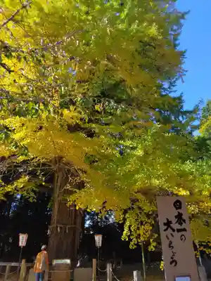水戸八幡宮(茨城県)