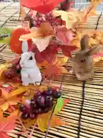 阿邪訶根神社(福島県)