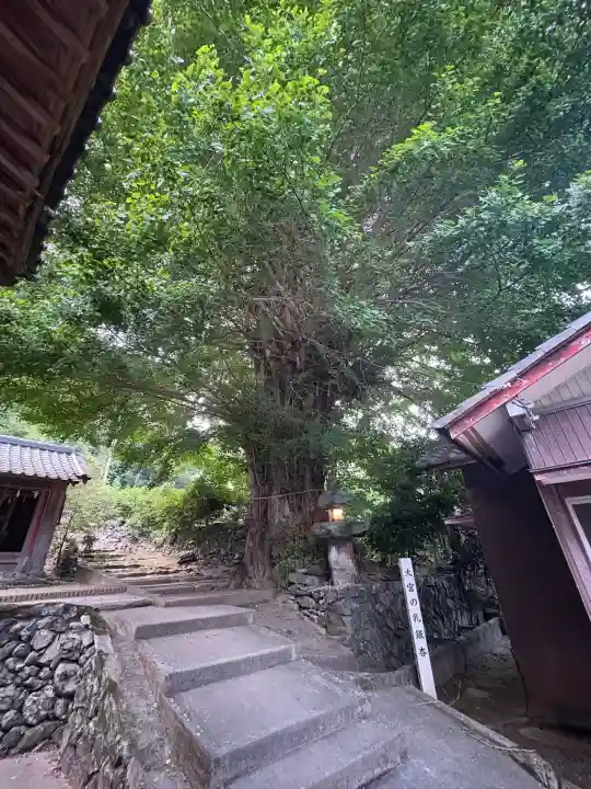 大宮八幡宮(徳島県)