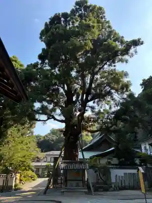 極楽寺(徳島県)