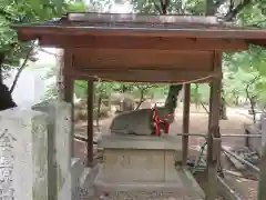 道明寺天満宮の狛犬