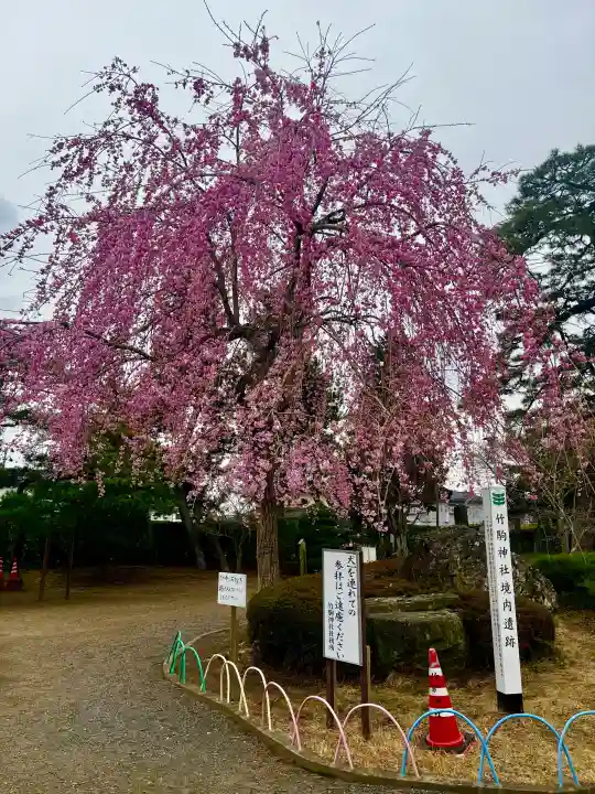 竹駒神社の{uncategorized: "未分類", other: "その他", undefined: "問題あり", building: "その他建物", grave: "お墓", sacred_gate: "鳥居", guardian: "狛犬", statue: "像", buddha: "仏像", history: "歴史", nature: "自然", garden: "庭園", animal: "動物", pagoda: "塔", temizu: "手水舎", mountain_gate: "山門・神門", sanctuary: "本殿・本堂", subordinate: "末社・摂社", art: "芸術", scenery: "景色", jizo: "地蔵", ema: "絵馬", goshuin: "御朱印", omikuji: "おみくじ", items: "授与品その他", amulet: "お守り", goshuincho: "御朱印帳", eats: "食事", festival: "お祭り", votive_dance: "神楽", shichigosan: "七五三参", wedding: "結婚式", experience: "体験その他", initially: "初詣", around: "周辺", anti_infection: "感染症対策"}