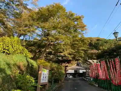 普門寺(切り絵御朱印発祥の寺)(愛知県)