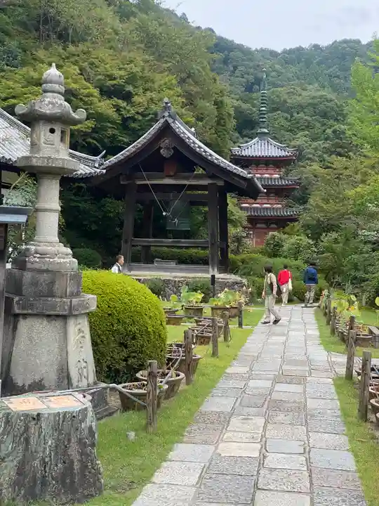 三室戸寺(京都府)