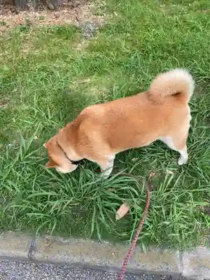 笠䅣稲荷神社(神奈川県)
