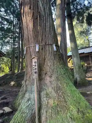 温泉神社(島根県)