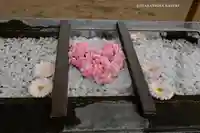 根岸八幡神社の手水舎