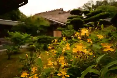 慈光院(奈良県)