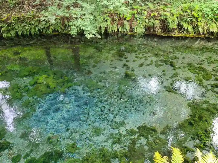 白川吉見神社(熊本県)
