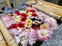 【閉業】小石川大神宮の手水舎