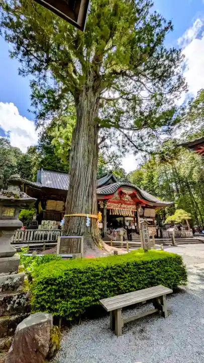 北口本宮冨士浅間神社の{uncategorized: "未分類", other: "その他", undefined: "問題あり", building: "その他建物", grave: "お墓", sacred_gate: "鳥居", guardian: "狛犬", statue: "像", buddha: "仏像", history: "歴史", nature: "自然", garden: "庭園", animal: "動物", pagoda: "塔", temizu: "手水舎", mountain_gate: "山門・神門", sanctuary: "本殿・本堂", subordinate: "末社・摂社", art: "芸術", scenery: "景色", jizo: "地蔵", ema: "絵馬", goshuin: "御朱印", omikuji: "おみくじ", items: "授与品その他", amulet: "お守り", goshuincho: "御朱印帳", eats: "食事", festival: "お祭り", votive_dance: "神楽", shichigosan: "七五三参", wedding: "結婚式", experience: "体験その他", initially: "初詣", around: "周辺", anti_infection: "感染症対策"}