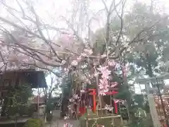 水火天満宮の自然