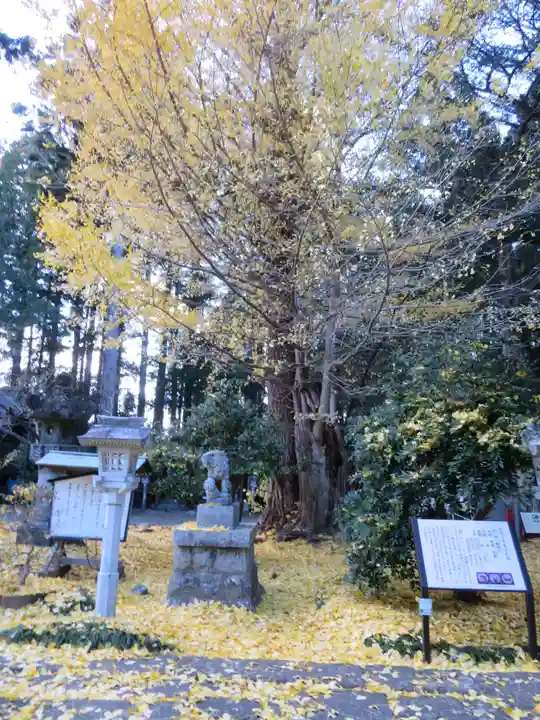 涼ケ岡八幡神社(福島県)