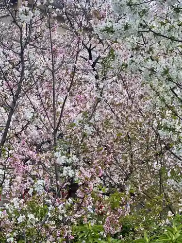 六孫王神社の自然