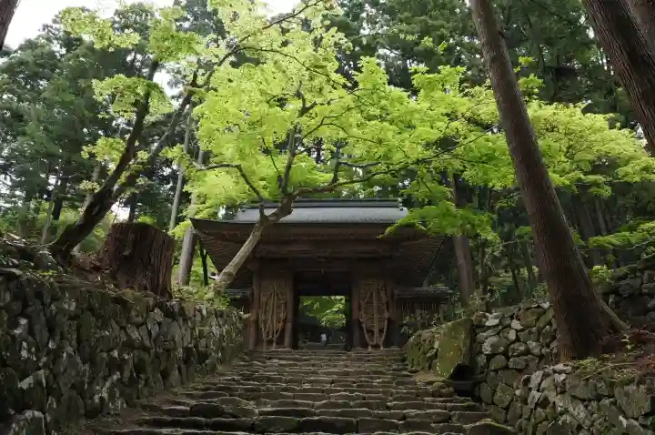 百済寺の{uncategorized: "未分類", other: "その他", undefined: "問題あり", building: "その他建物", grave: "お墓", sacred_gate: "鳥居", guardian: "狛犬", statue: "像", buddha: "仏像", history: "歴史", nature: "自然", garden: "庭園", animal: "動物", pagoda: "塔", temizu: "手水舎", mountain_gate: "山門・神門", sanctuary: "本殿・本堂", subordinate: "末社・摂社", art: "芸術", scenery: "景色", jizo: "地蔵", ema: "絵馬", goshuin: "御朱印", omikuji: "おみくじ", items: "授与品その他", amulet: "お守り", goshuincho: "御朱印帳", eats: "食事", festival: "お祭り", votive_dance: "神楽", shichigosan: "七五三参", wedding: "結婚式", experience: "体験その他", initially: "初詣", around: "周辺", anti_infection: "感染症対策"}