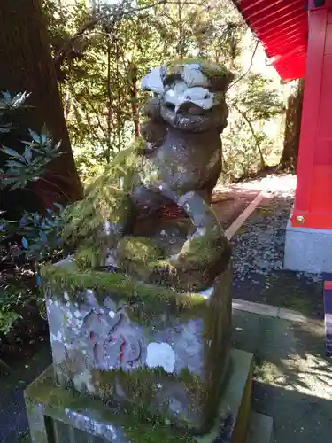 箱根神社の狛犬