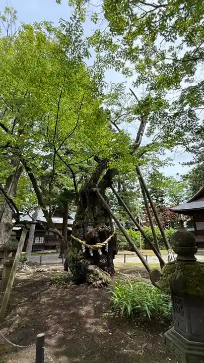 蠶養國神社(福島県)